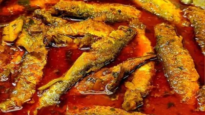 মাছ, ফিশ, মহৌষধি, এত সস্তা মাছ, টুনা মাছ, টুনা ফিশ, সপ্তাহে দুটো দিন খেলেই, ছুটি নেবে সুগার, কোলেস্টেরল, ত্বক হবে চকচকে, কমবে ওজন, হার্ট থাকবে পারফেক্ট, খাওয়া শুরু করুন, এই মাছ, হার্ট অ্যাটাক আটকায়, কোলেস্টেরল কমায় কোন মাছ, মাছের স্বাস্থ্য গুণ, মাছের পুষ্টিগুণ, পুষ্টি সমৃদ্ধ মাছ, কোন মাছ কমায় ওজন থেকে হার্ট অ্যাটাক,ওমেগা থ্রি, ক্যালসিয়াম, কমায় ওজন থেকে ক্যানসার ঝুঁকি, মাছের টিপস, উপকারী মাছ, মাছের উপকারিতা, পুষ্টিকর মাছ, ওষুধ সমান মাছ, ফিশ টিপস, সামুদ্রিক মাছ খাওয়ার উপকারিতা, কোলেস্টেরল, হাই প্রেশার, ব্লাড প্রেশার, ওজন, সুগার, ক্যানসার, ডায়াবেটিস, হার্ট অ্যাটাকে অব্যর্থ, হাড়, চুল, রুই, ইলিশ, পাবদা, চিংড়ি, পুষ্টিকর মাছ, হার্ট ভাল রাখে এই মাছ, স্যামন মাছ, ম্যাকারেল মাছ, কোন মাছ খেলে পেতে পারদ বাড়বে, সেরা সামুদ্রিক মাছ, ভাল রাখে হার্ট, ভাল রাখে ব্রেন