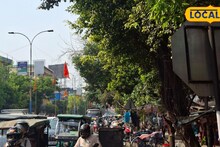 Siliguri News: ৪৭ প্রজাতির পাখি, ১০ ধরনের সরীসৃপ, ৭ রকমের ব্যাঙ...! কংক্রিটের জঙ্গলে শিলিগুড়ি যেন 'মিনি অরণ্য', চমকে দিচ্ছে সমীক্ষা