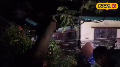 কালবৈশাখীর তাণ্ডবে বাড়ির ওপরে ভেঙে পড়েছে গাছ