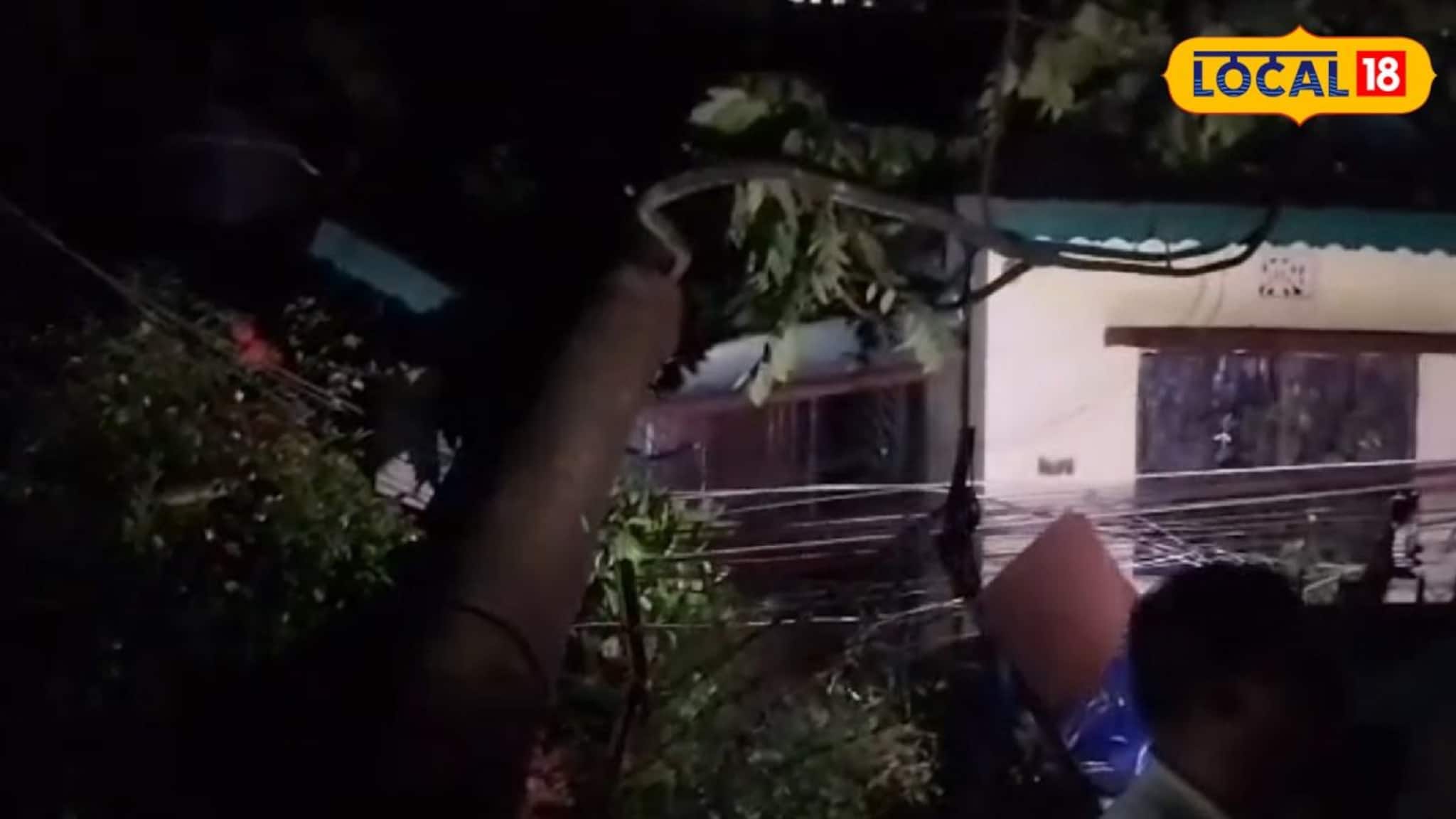 Siliguri Kalbaishakhi: শিলিগুড়িতে প্রকৃতির তাণ্ডব, কালবৈশাখী ঝড়ে ভেঙে পড়ল একাধিক গাছ! খবর পেয়ে তছনছ হওয়া শহর দেখতে ছুটলেন মেয়র Siliguri Kalbaishakhi: শিলিগুড়িতে প্রকৃতির তাণ্ডব, কালবৈশাখী ঝড়ে ভেঙে পড়ল একাধিক গাছ! খবর পেয়ে তছনছ হওয়া শহর দেখতে ছুটলেন মেয়র