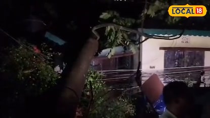 কালবৈশাখীর তাণ্ডবে বাড়ির ওপরে ভেঙে পড়েছে গাছ কালবৈশাখীর তাণ্ডবে বাড়ির ওপরে ভেঙে পড়েছে গাছ