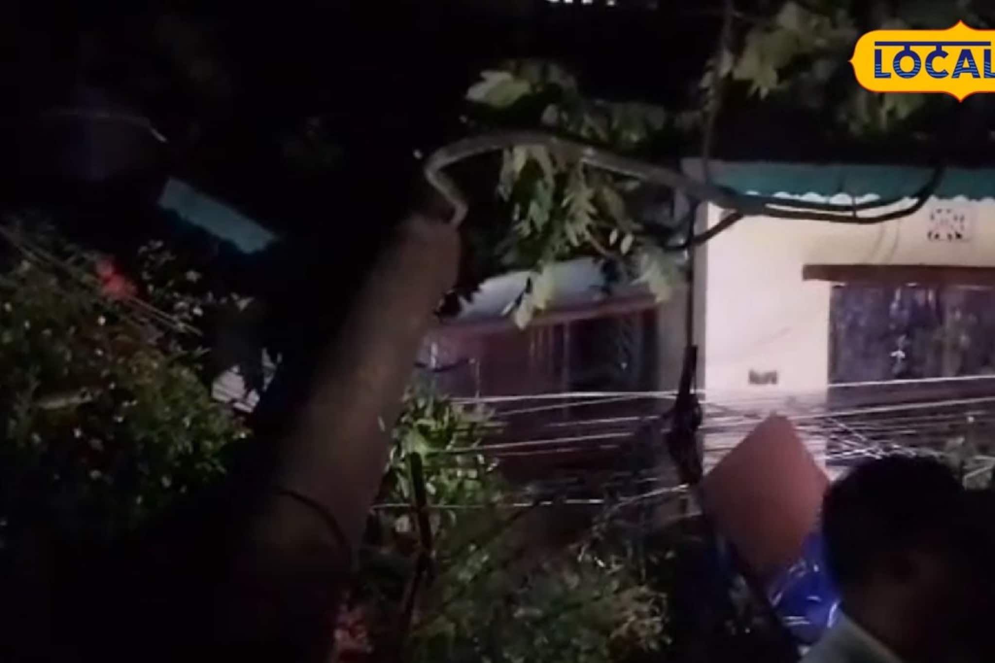 কালবৈশাখীর তাণ্ডব শিলিগুড়িতে, খবর পেয়ে তছনছ হওয়া শহর দেখতে ছুটলেন মেয়র কালবৈশাখীর তাণ্ডব শিলিগুড়িতে, খবর পেয়ে তছনছ হওয়া শহর দেখতে ছুটলেন মেয়র