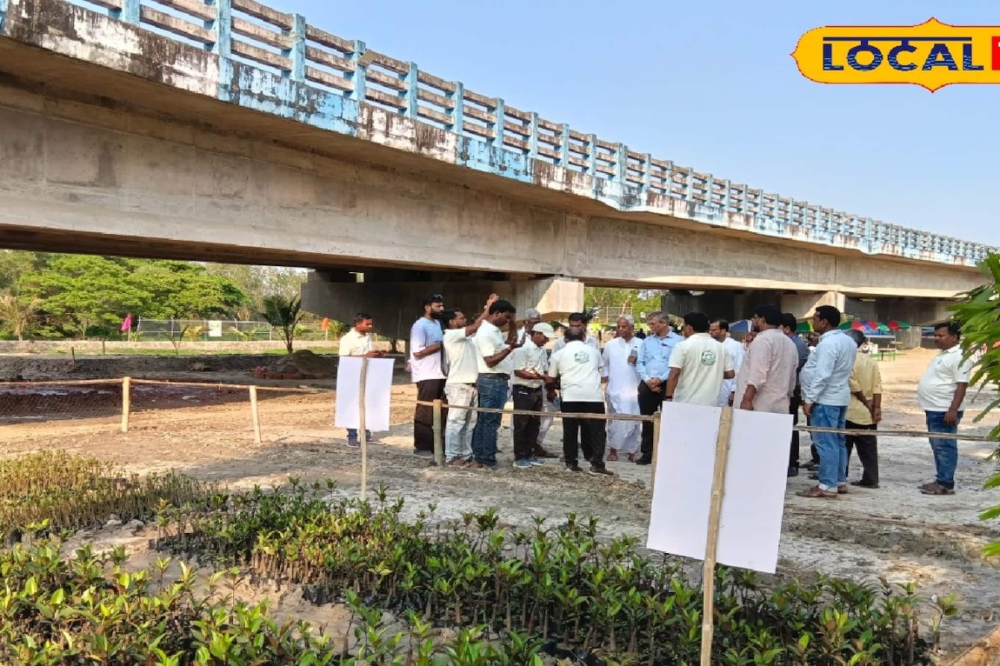 বলের বাজার ব্রিজের নিচেই তৈরি হচ্ছে ‘মিনি সুন্দরবন’, ম্যানগ্রোভ বাঁচাতে নয়া উদ্যোগ