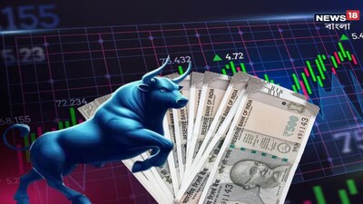 ভারতীয় শেয়ার বাজারে উত্থান