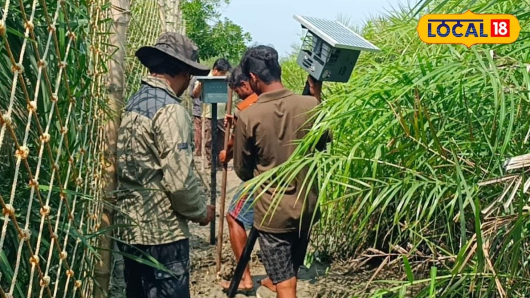 বাঘ তাড়াতে 'মিউজক দাওয়াই'! আতঙ্ক ছুমন্তর করতে বসল ‘অ্যানিডার্স’, অত্যাধুনিক প্রযুক্তিতে স্বস্তিতে সুন্দরবনবাসীরা