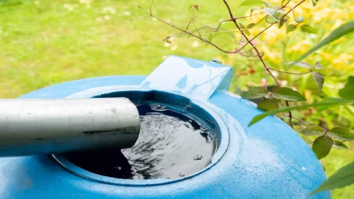 বাড়ির ছাদের জলের ট্যাঙ্ক নোংরা হয়ে গিয়েছে? সহজ কয়েকটি ধাপে,১০ মিনিটে নিজেই সাফ করুন!