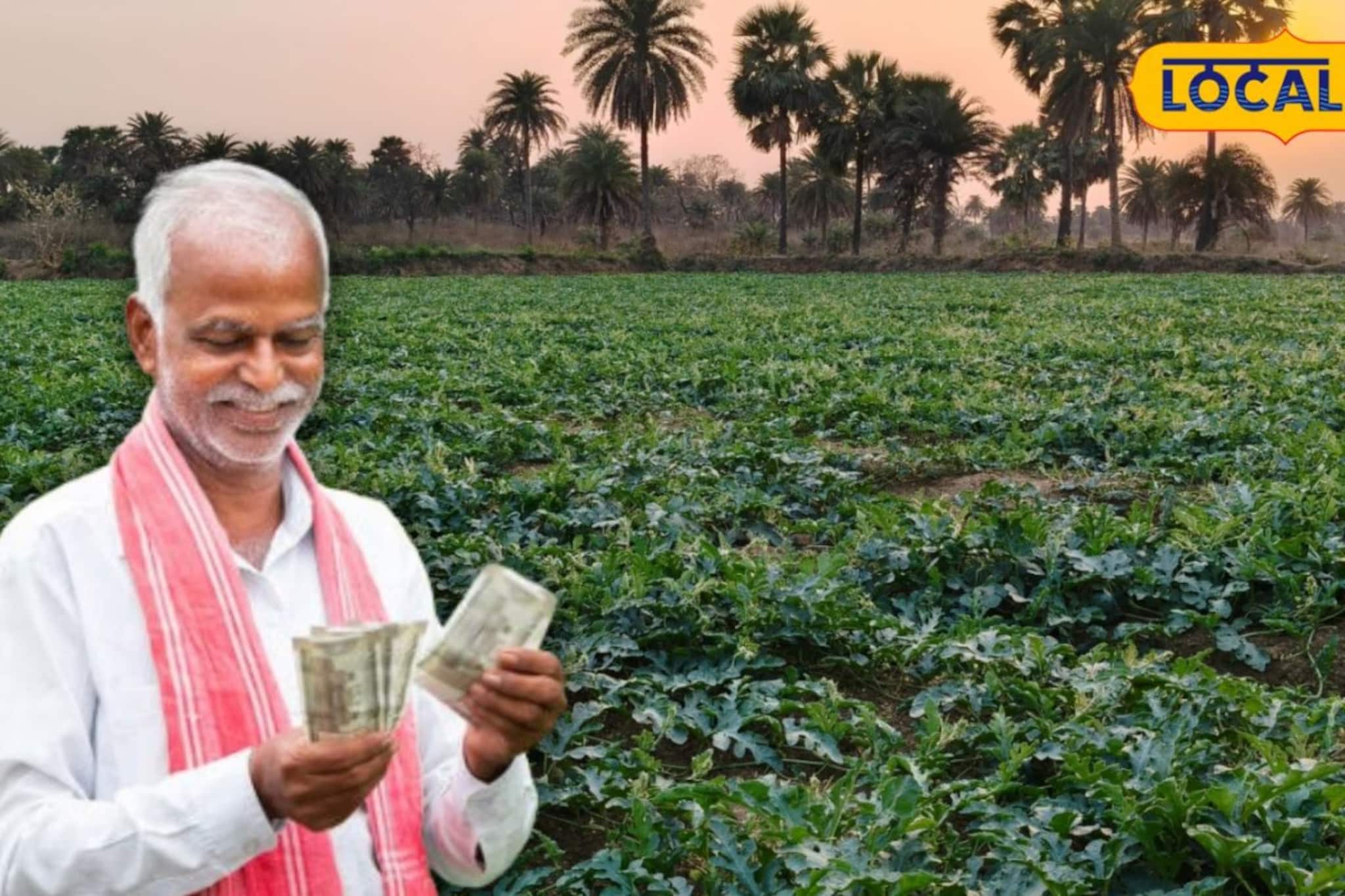 কম সময়ে বিপুল আয়! ধান কাটার পর কীভাবে তরমুজ চাষে আয়ের নতুন দিশা দেখছেন পুরুলিয়ার চাষিরা কম সময়ে বিপুল আয়! ধান কাটার পর কীভাবে তরমুজ চাষে আয়ের নতুন দিশা দেখছেন পুরুলিয়ার চাষিরা