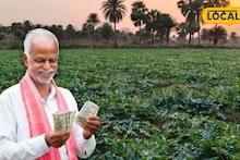 Profitable Farming: কম সময়ে বিপুল আয়! গরমে ব্যাপক চাহিদা, ধান কাটার পর এই চাষে আয়ের নতুন দিশা দেখছেন পুরুলিয়ার চাষিরা