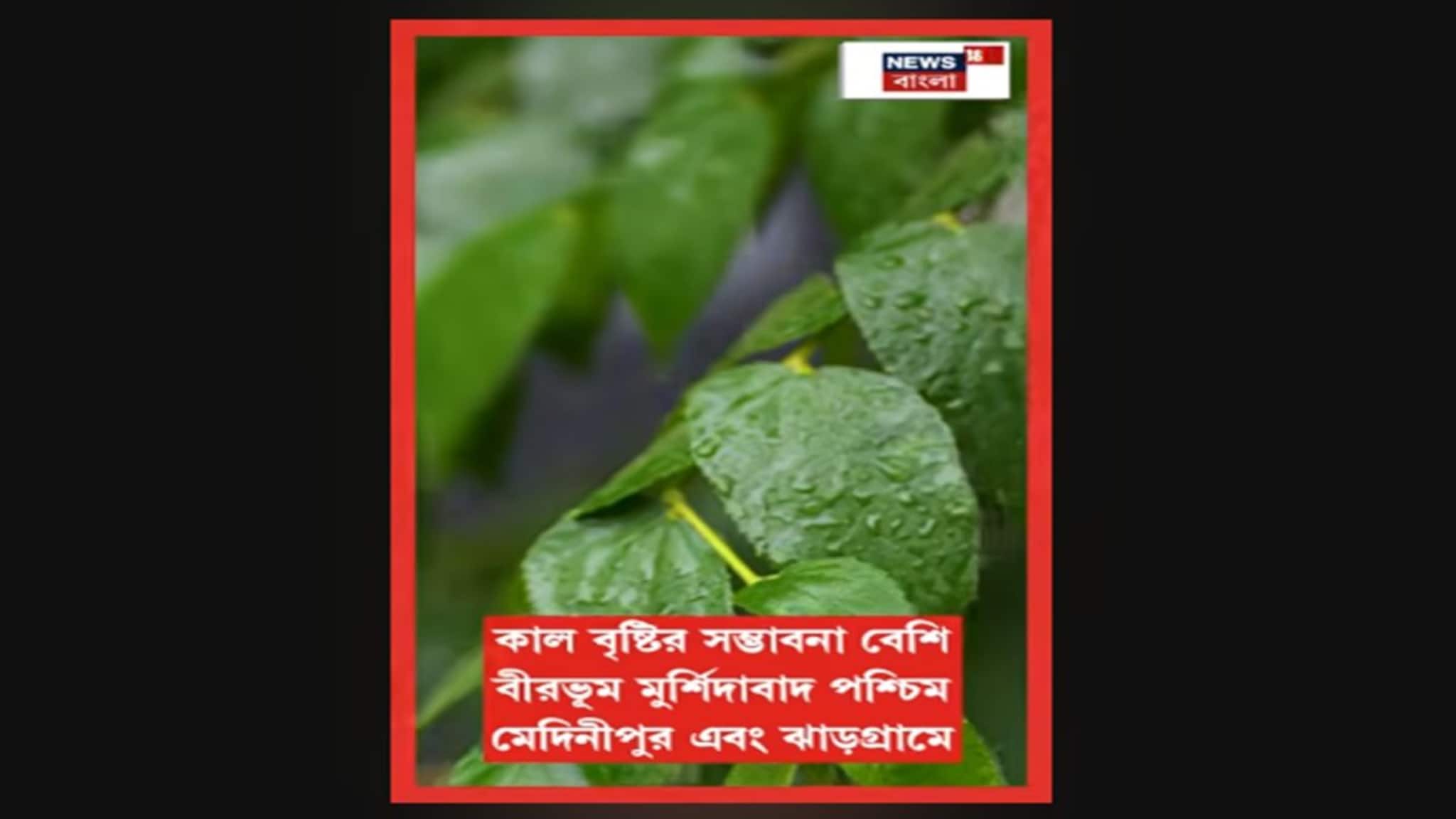 Weather Update Today: উত্তরবঙ্গে ঝড়বৃষ্টি চলবে! দক্ষিণবঙ্গে উইকেন্ডে কেমন থাকবে আবহাওয়া?