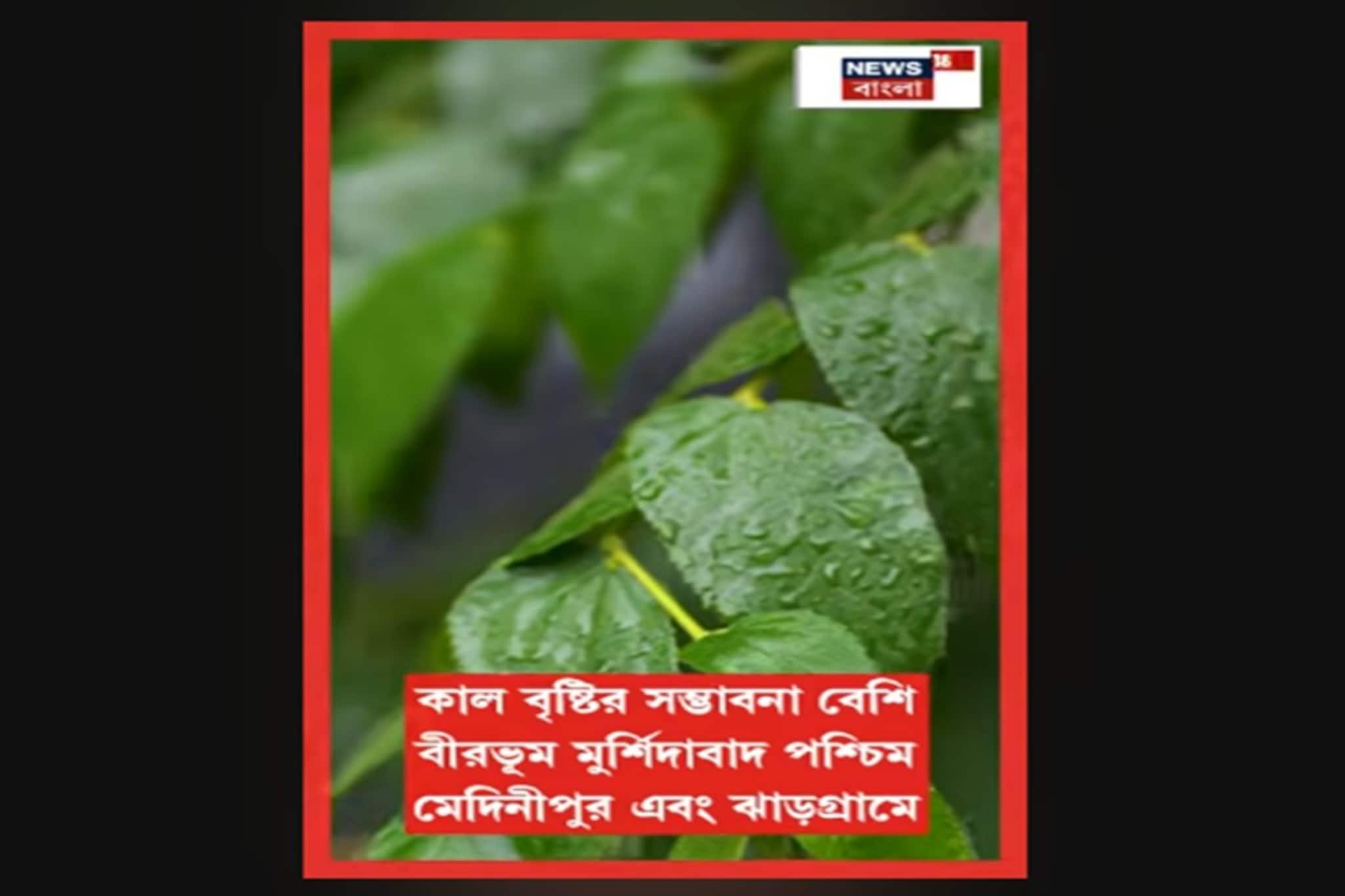 উত্তরবঙ্গে ঝড়বৃষ্টি চলবে! দক্ষিণবঙ্গে উইকেন্ডে কেমন থাকবে আবহাওয়া? 