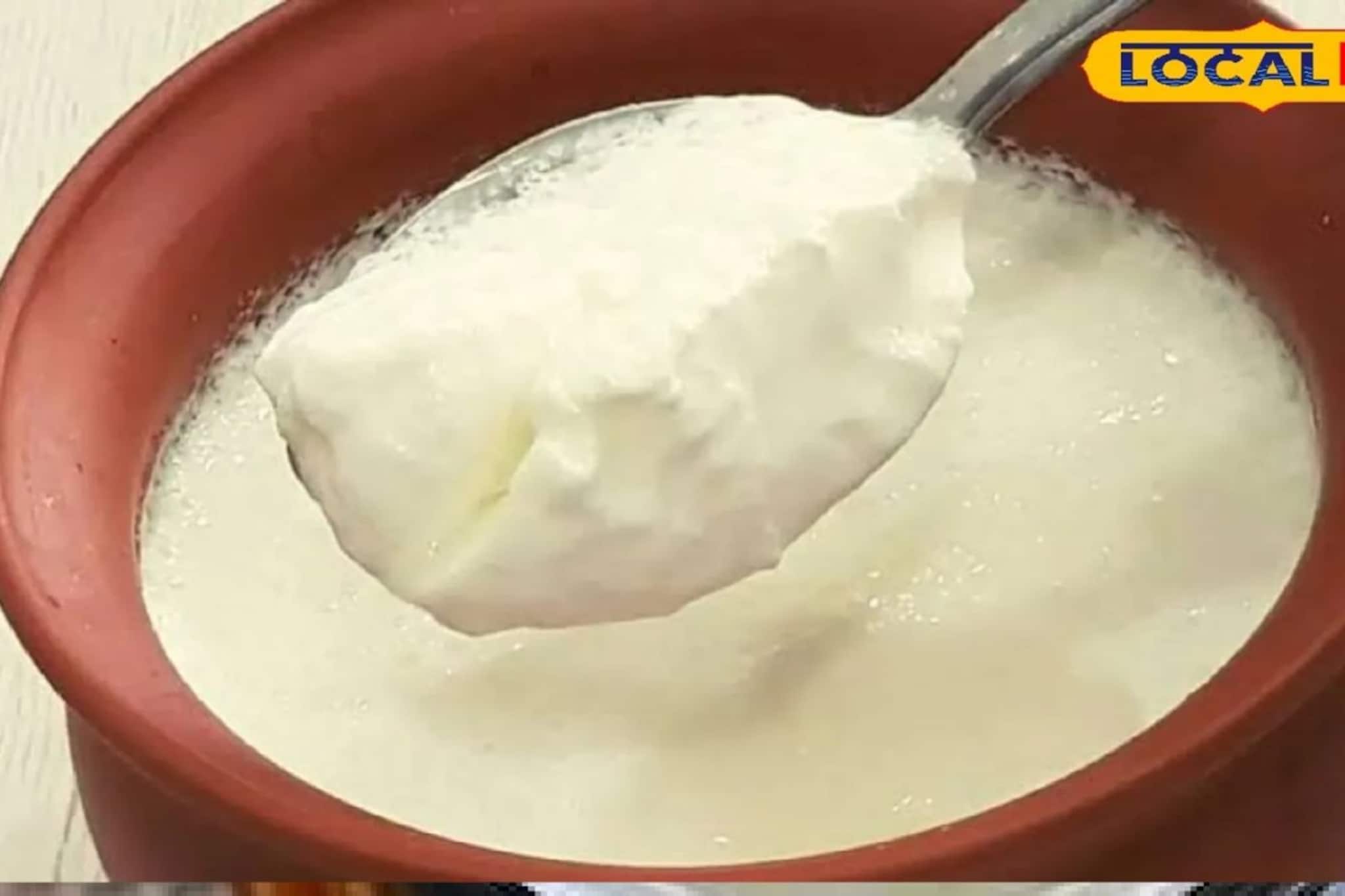 বাড়িতে পাতলেই ভীষণ 'টক' হয়ে যাচ্ছে দই? সহজ ট্রিক জানলেই জমাট বাঁধবে সুস্বাদু, মিষ্টি দই !