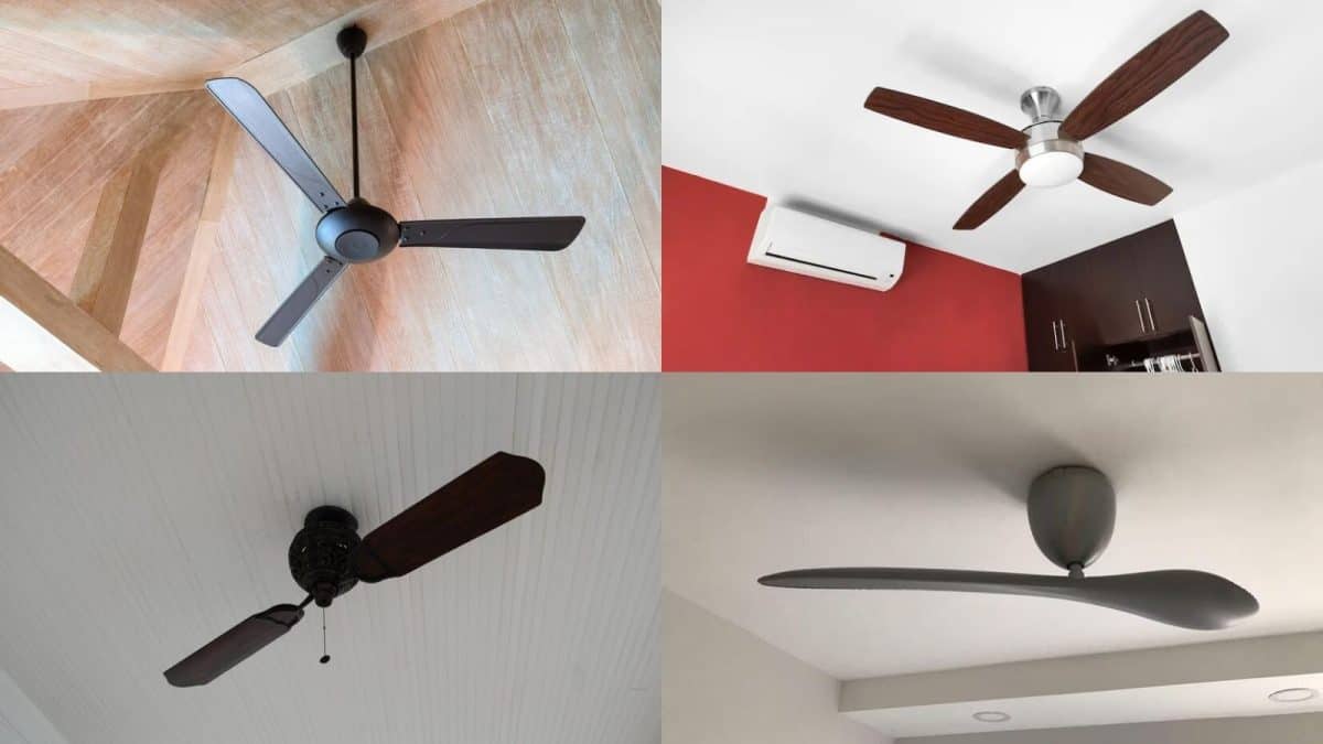 Ceiling Fan: বেশি ব্লেড মানেই কি বেশি হাওয়া? ৩, ৪ বা ৫ ব্লেডের ফ্যানের মধ্যে পার্থক্য কী, কোনটিতে বিদ্যুৎ বিল কম? জেনে নিন