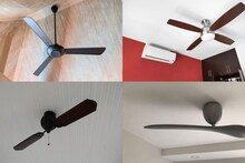 Ceiling Fan: বেশি ব্লেড মানেই কি বেশি হাওয়া? ৩, ৪ বা ৫ ব্লেডের ফ্যানের মধ্যে পার্থক্য কী, কোনটিতে বিদ্যুৎ বিল কম? জেনে নিন