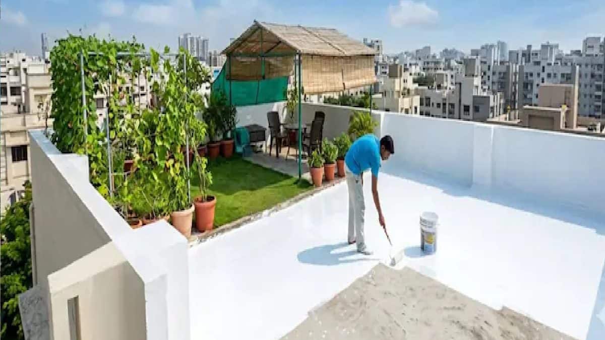 গরমে ফুটছে ছাদ? এসি ছাড়াই ঠান্ডা করুন সস্তার, সহজ এই উপায়ে, ফুরফুরে থাকবে ঘরও!