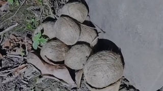 বিধানসভা ভোটের আগে  বোমা উদ্ধার 