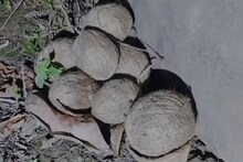 West Bengal Assembly Election 2026: বিধানসভা ভোটের আগেই প্রচুর বোমা উদ্ধার! ১-২ টি নয়, এক্কেবারে ২৫ টি বোমা