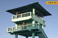 Weekend Trip: দেখা মিলবে বিরল প্রাণীর, বক্সা এলে চুনিয়া জঙ্গল সাফারি মাস্ট! কেন জানেন?