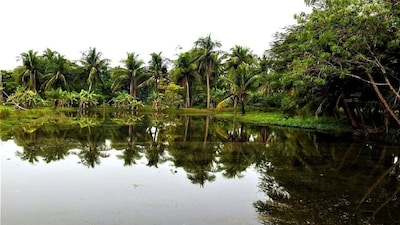 হাওড়ার নয়া বেড়ানোর ঠিকানা 