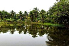 Budget Weekend Trip: শহরের বুকেই এমন সুন্দর জায়গা রয়েছে জানতেন? স্নিগ্ধতার টানে ছুটে আসছেন অনেকেই, আপনিও চাইলে ঘুরে আসুন, রইল ঠিকানা