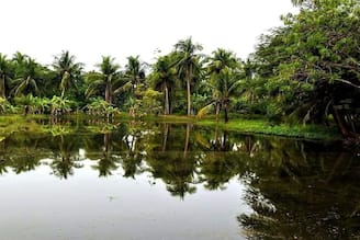 শহরের বুকেই এমন সুন্দর জায়গা রয়েছে জানতেন? স্নিগ্ধতার টানে ছুটে আসছেন অনেকেই, আপনিও চাইলে ঘুরে আসুন