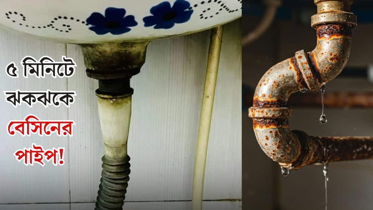 Cleaning Tips: নোংরা বেসিনের পাইপে হাত দিতেই গা ঘিনঘিন করে? এই ২ জিনিস দিয়েই হবে কামাল! পাইপের ভেতর, বাইর দুই হবে ৫ মিনিটে ঝকঝকে