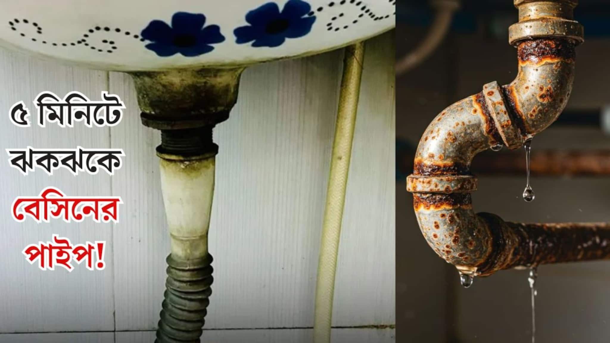 Cleaning Tips: নোংরা বেসিনের পাইপে হাত দিতেই গা ঘিনঘিন করে? এই ২ জিনিস দিয়েই হবে কামাল! পাইপের ভেতর, বাইর দুই হবে ৫ মিনিটে ঝকঝকে