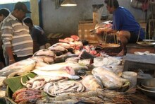 Fishes: বাজার থেকে যে মাছ কিনলেন, সেটা টাটকা না বাসি? কীভাবে বুঝবেন? রইল ৬ হাতেগরম কৌশল