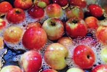 Formalin In Fruits: 'ফরমালিন' দেওয়া ফল কুরে কুরে খাচ্ছে লিভার, কিডনি, ফুসফুস, বাড়াচ্ছে ক্যানসারের ঝুঁকি, কীভাবে ফল থেকে 'ফর্মালিন' দূর করবেন? পড়ুন