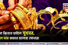 Gold Price Prediction: গয়না কিনতে চাইলে সুখবর, বিপুল দাম কমতে চলেছে সোনার ! পূর্বাভাস বিশেষজ্ঞদের