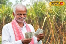 Profitable Farming: কম খরচে কোটিপতি! এই একটি ফসল চাষে মাত্র এক বিঘা জমিতেই লাখ টাকার মুনাফা