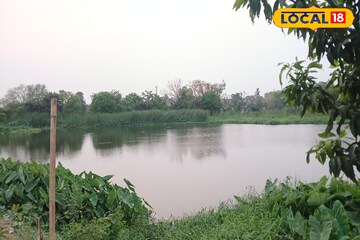 শহরের বুকেই এমন সুন্দর জায়গা রয়েছে জানতেন? স্নিগ্ধতার টানে ছুটে আসছেন অনেকেই, আপনিও চাইলে ঘুরে আসুন