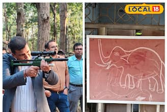  বাঁকুড়ায় হলটা কী! ২৮ থেকে একেবারে শুন্য! বিরাট সাফল্য বনদফতরের