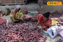 Onion Price Fall: ভিন রাজ্যের পেঁয়াজের কারণে মুখ থুবড়ে পড়েছে স্থানীয় পেঁয়াজ, বিপাকে নদিয়ার কৃষকেরা