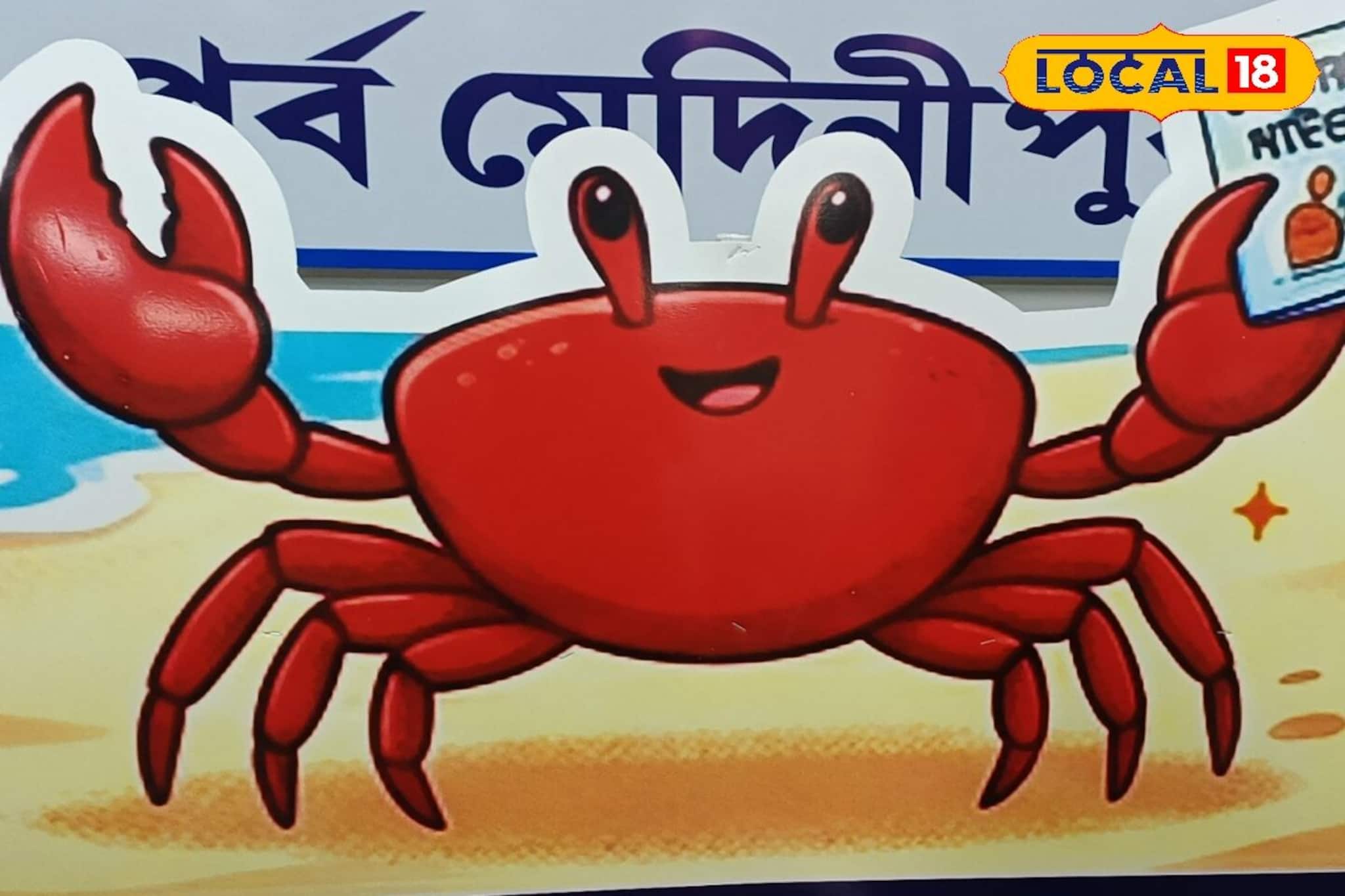 ভোটের প্রচারে এবার ময়দানে ‘লাল কাঁকড়া’! পূর্ব মেদিনীপুর জুড়ে কাদের ‘সচেতন’ করছে ‘কাঁকড়া প্রচারক’?