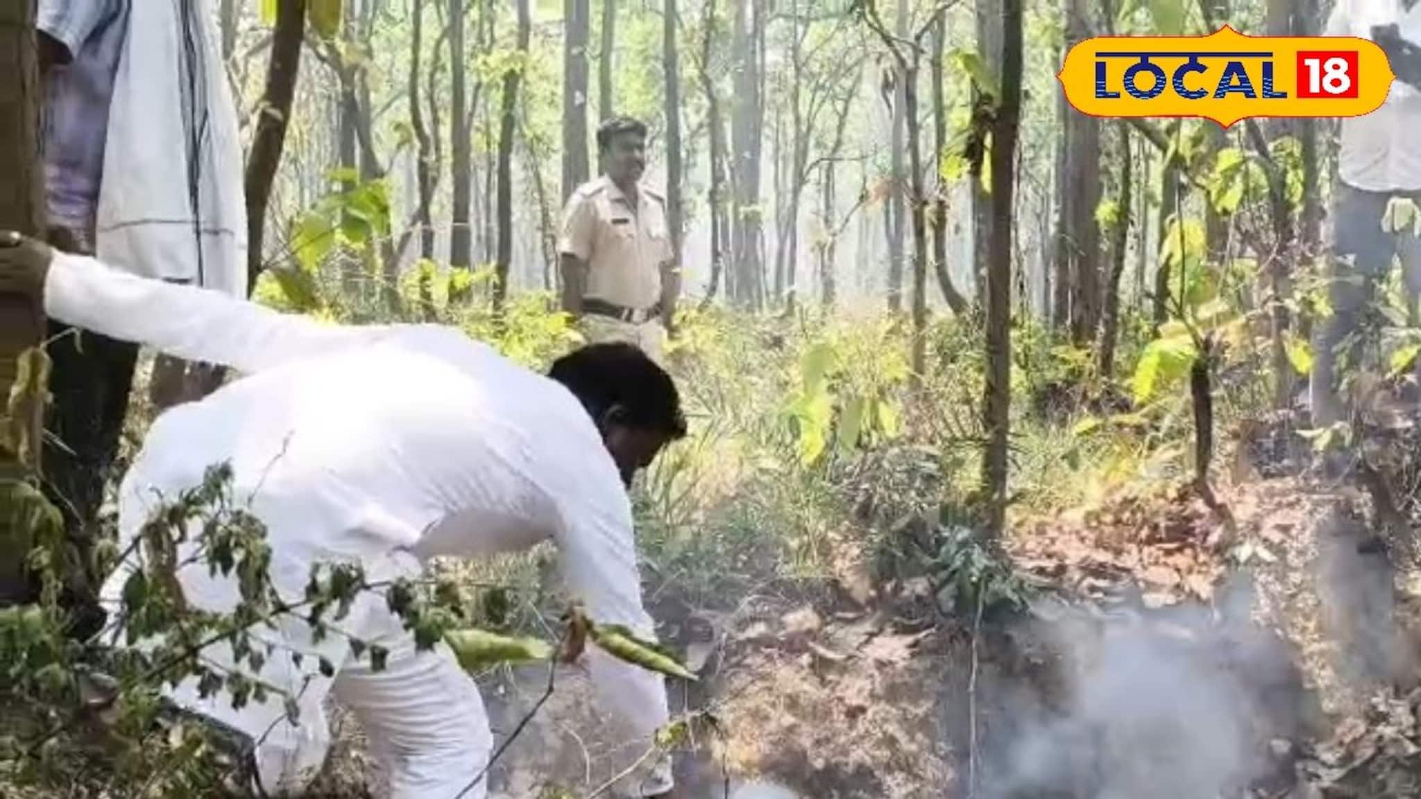West Bengal Assembly Election 2026: মানবিক মুখ তৃণমূল প্রার্থী ও ব্লক সভাপতির, জঙ্গলে আগুন লেগেছে, বন্যপ্রাণ বাঁচাতে প্রচার ছেড়ে ছুটলেন