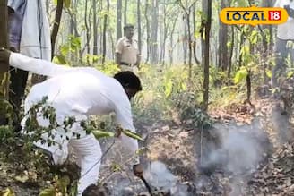 মানবিক মুখ তৃণমূল প্রার্থী ও ব্লক সভাপতির, জঙ্গলে আগুন লেগেছে, বন্যপ্রাণ বাঁচাতে প্রচার ছেড়ে ছুটলেন