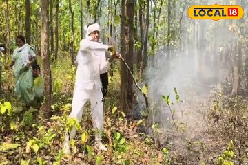 মানবিক মুখ তৃণমূল প্রার্থী ও ব্লক সভাপতির, জঙ্গলে আগুন লেগেছে, বন্যপ্রাণ বাঁচাতে প্রচার ছেড়ে ছুটলেন