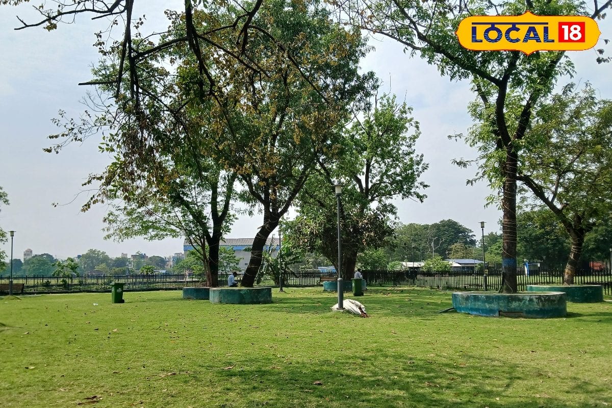 সন্তানের সঙ্গে সময় কাটানোর সেরা ঠিকানা! কলকাতা থেকে একটু দূরেই শিশুদের পছন্দের সেই 'জায়গা', একবার ঘুরিয়ে আনুন