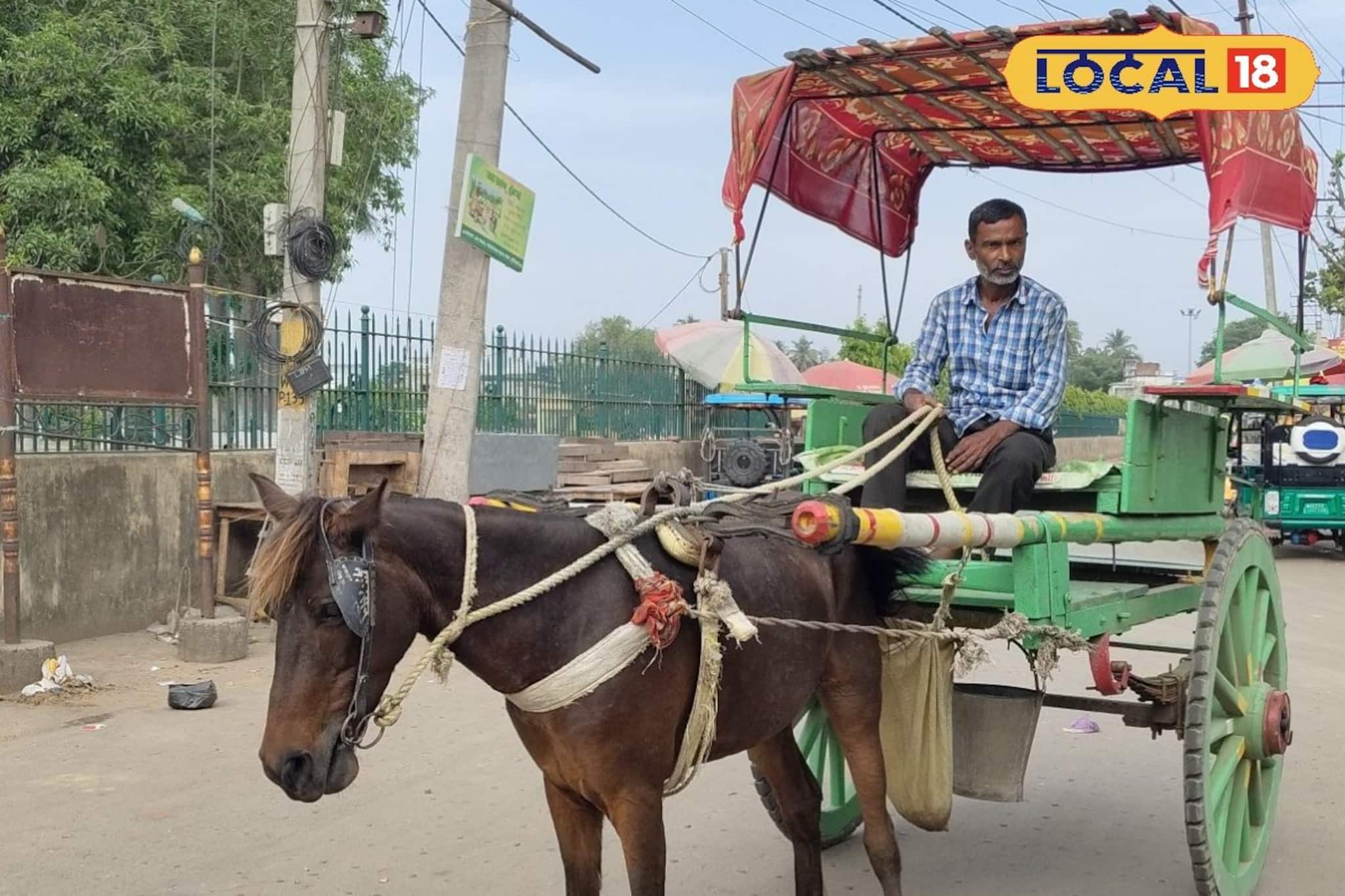 ভোটের মরশুমে হাজারদুয়ারির টাঙ্গা চালকরা কেমন আছেন!