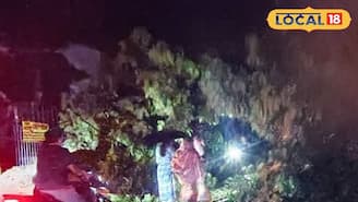 কালবৈশাখীর তাণ্ডব! উড়ে গেল দোকানের ছাউনি, হুড়মুড়িয়ে ভেঙে পড়ল বিশাল গাছ, টাকি রোডে বিপর্যস্ত যান চলাচল