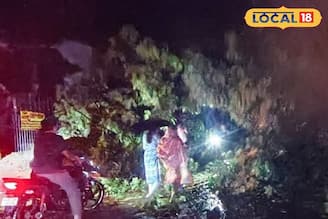 কালবৈশাখীর তাণ্ডব! উড়ে গেল দোকানের ছাউনি, হুড়মুড়িয়ে ভেঙে পড়ল বিশাল গাছ, টাকি রোডে বিপর্যস্ত যান চলাচল