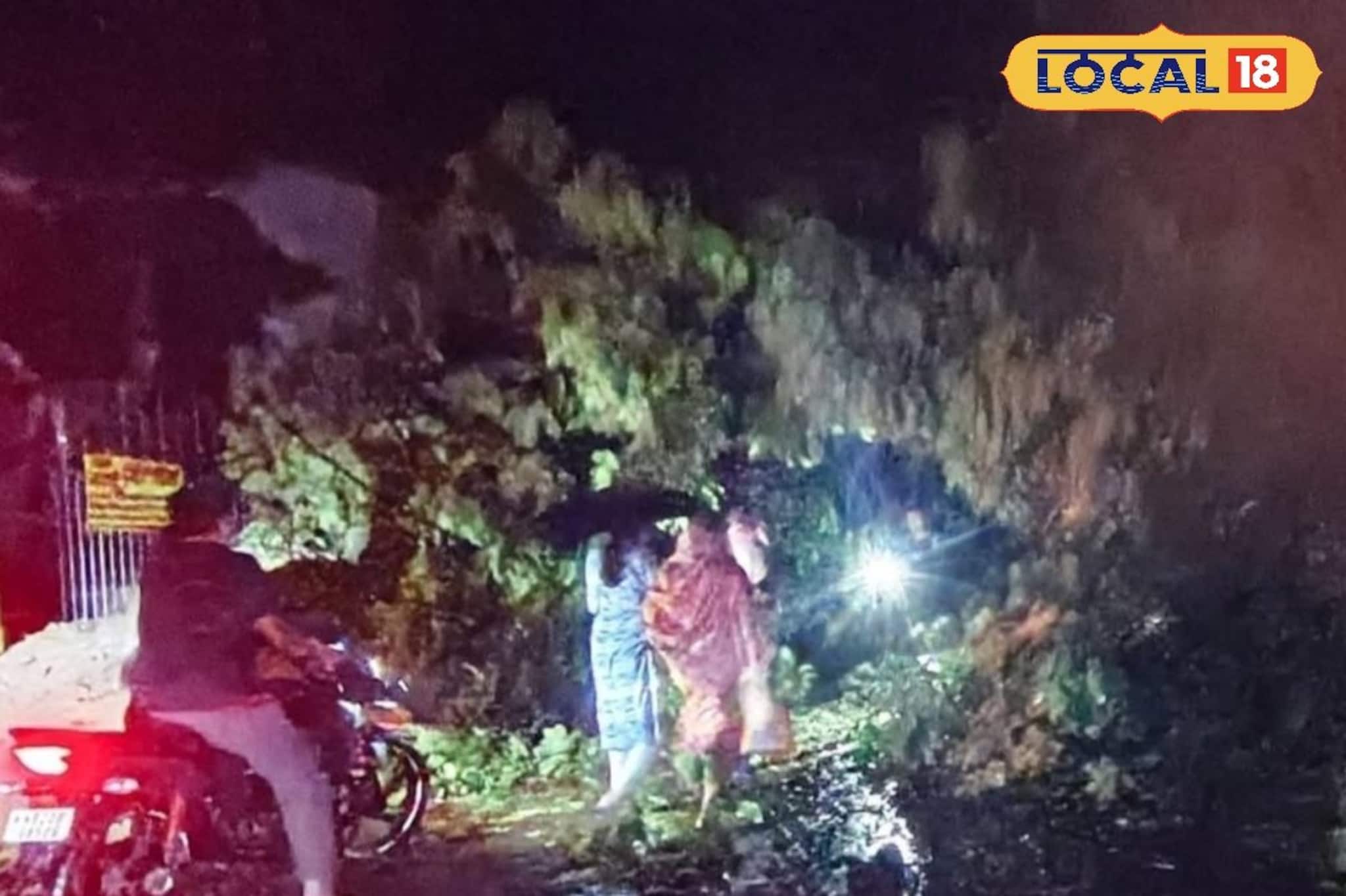 কালবৈশাখীর তাণ্ডব! টাকি রোডে উপড়ে পড়ল বিশাল গাছ, বিপর্যস্ত যান চলাচল