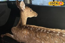 West Medinipur News: বৃষ্টির পরেই ধানখেতে ওটা কী? কাছে যেতেই চোখ কপালে কেশিয়াড়িবসীর, হুলস্থুল কাণ্ড গ্রামে!