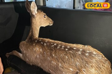 বৃষ্টির পরেই ধানখেতে ওটা কী? কাছে যেতেই চোখ কপালে কেশিয়াড়িবসীর, হুলস্থুল কাণ্ড গ্রামে!