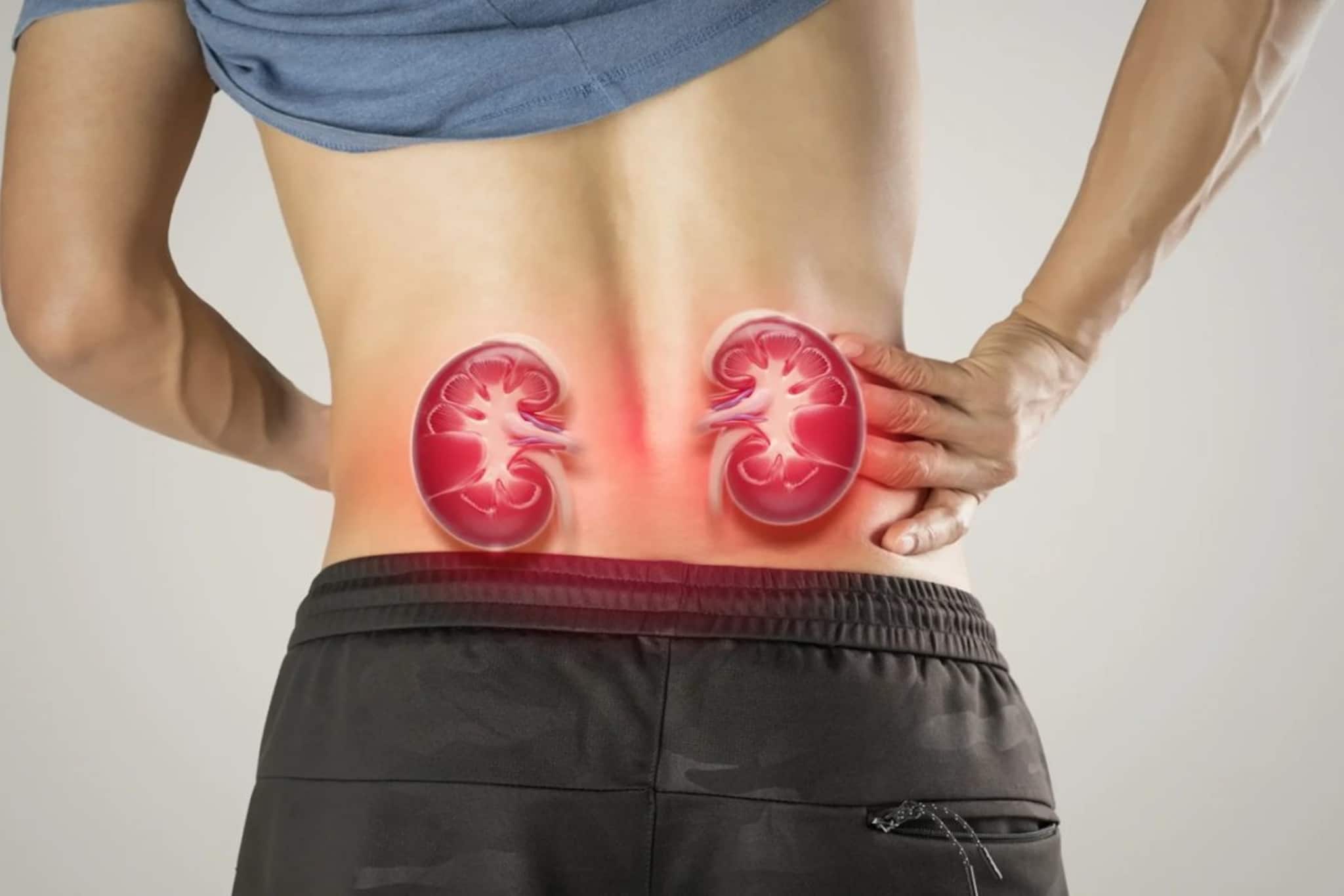 অজান্তেই কিডনির ক্ষতি করছেন? এই ২টি দৈনন্দিন অভ্যাস হতে পারে বড় বিপদের কারণ