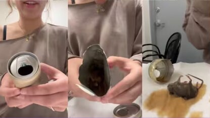 Viral News: নামী-দামি কোম্পানির ক্যান কফিতে ‘মৃত ইঁদুর’? ভাইরাল ভিডিও ঘিরে তুঙ্গে বিতর্ক