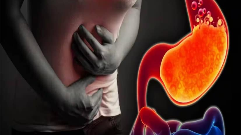 মৌরি বীজ দীর্ঘদিন ধরে ভারতীয় পরিবার এবং ঐতিহ্যবাহী প্রতিকারের একটি প্রধান উপাদান হিসেবে ব্যবহৃত হয়ে আসছে। যদিও এর সতেজকারক স্বাদের জন্য প্রায়শই খাবারের পর এটি খাওয়া হয়, আপনি কি জানেন যে এই বীজগুলির হজম সহায়ক বিভিন্ন গুণও রয়েছে? আপনার খাবার-পরবর্তী রুটিনে মৌরি বীজ অন্তর্ভুক্ত করলে তা হজমশক্তি উন্নত করতে, পেট ফাঁপা কমাতে এবং অন্ত্রের সার্বিক স্বাস্থ্য ভালো রাখতে সাহায্য করতে পারে। মৌরি বীজ দীর্ঘদিন ধরে ভারতীয় পরিবার এবং ঐতিহ্যবাহী প্রতিকারের একটি প্রধান উপাদান হিসেবে ব্যবহৃত হয়ে আসছে। যদিও এর সতেজকারক স্বাদের জন্য প্রায়শই খাবারের পর এটি খাওয়া হয়, আপনি কি জানেন যে এই বীজগুলির হজম সহায়ক বিভিন্ন গুণও রয়েছে? আপনার খাবার-পরবর্তী রুটিনে মৌরি বীজ অন্তর্ভুক্ত করলে তা হজমশক্তি উন্নত করতে, পেট ফাঁপা কমাতে এবং অন্ত্রের সার্বিক স্বাস্থ্য ভালো রাখতে সাহায্য করতে পারে।