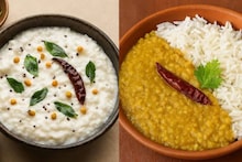 Curd Rice vs Dal Rice : দই-ভাত বনাম ডাল-ভাত: কোনটা খেলে কমে পেটের রোগ? গ্যাস-অম্বলের ছুটি হয়ে গায়েব বদহজম? জানুন