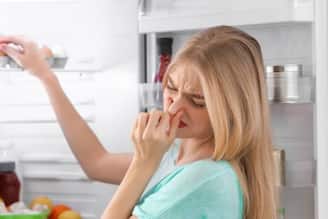 ১ চিমটে ‘সাদা গুঁড়ো’ বা ফেলে দেওয়া ‘ফলের খোসায়’ নিমেষে দূর পচা দুর্গন্ধ!...ফ্রিজের দরজা খুললেই গা গুলিয়ে বমি ওঠার দিন শেষ!