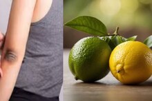 Dark Elbow Tips: দামি ক্রিম-লোশন কিনে মুঠো মুঠো টাকা জলে যাওয়ার দিন শেষ! পাতিলেবুর সঙ্গে ‘এটা’ মিশিয়ে মাখলেই পরিষ্কার হবে কুচকুচে কালো কনুই!